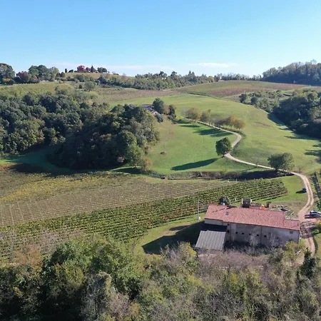 Palladio Vineyard * Vicence