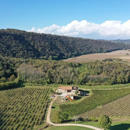 Daire Palladio Vineyard Vicenza