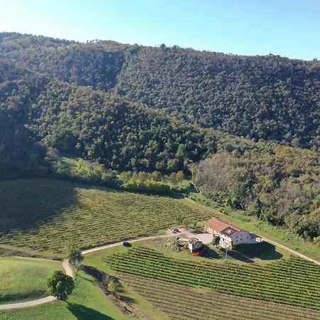 Palladio Vineyard Daire Vicenza