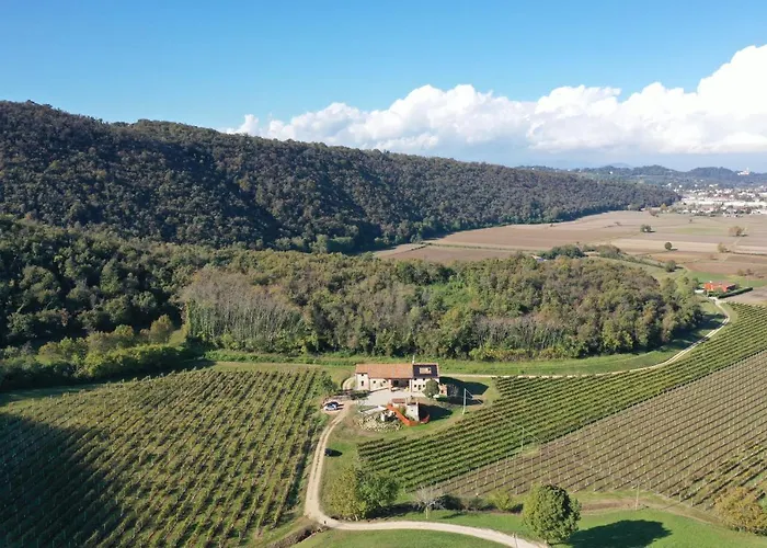 Appartement Palladio Vineyard Vicenza