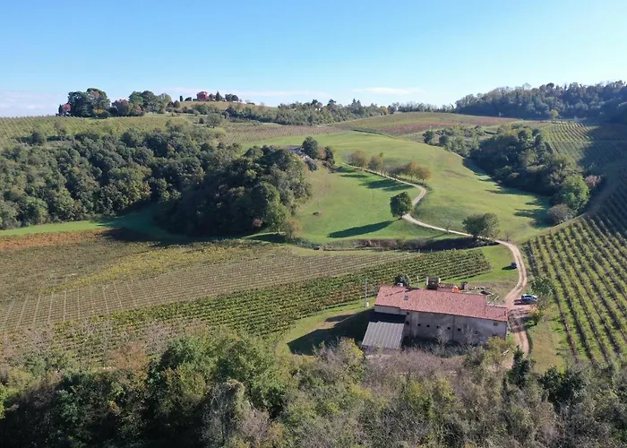 Palladio Vineyard * Vicenza